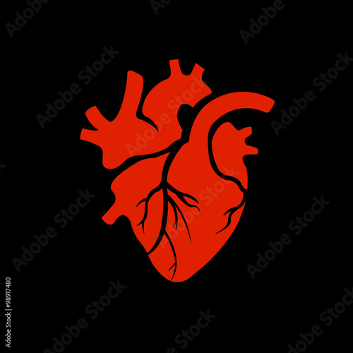 heart vector human red