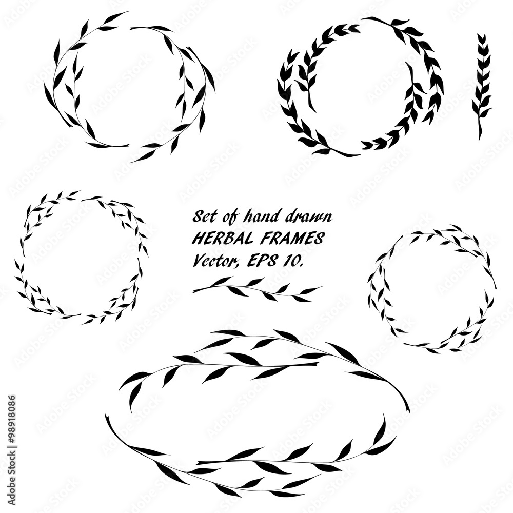 Set of hand drawn round floral framework of willow branches and blades in the doodle sketch style. Vector, EPS 10.