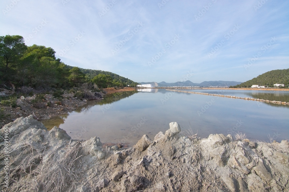 Ses Salines landscape view