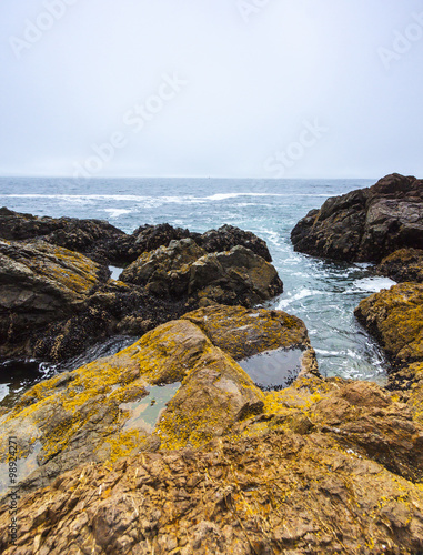 Rocky Coastline of Pacific Ocean where Waves Hit Shore © Chris Gardiner