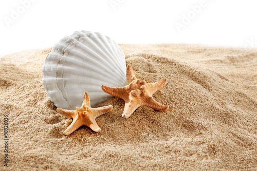 Sea stars and shell on sand isolated on white background