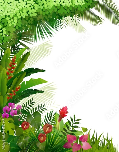 Fototapeta Naklejka Na Ścianę i Meble -  Plant tropical on isolated background