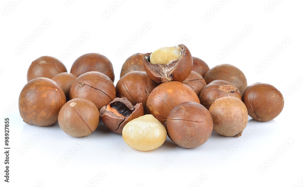 macadamia nuts on white background macadamia nuts on white background