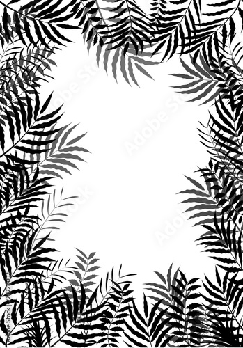 Palm leaves of frame background of silhouette