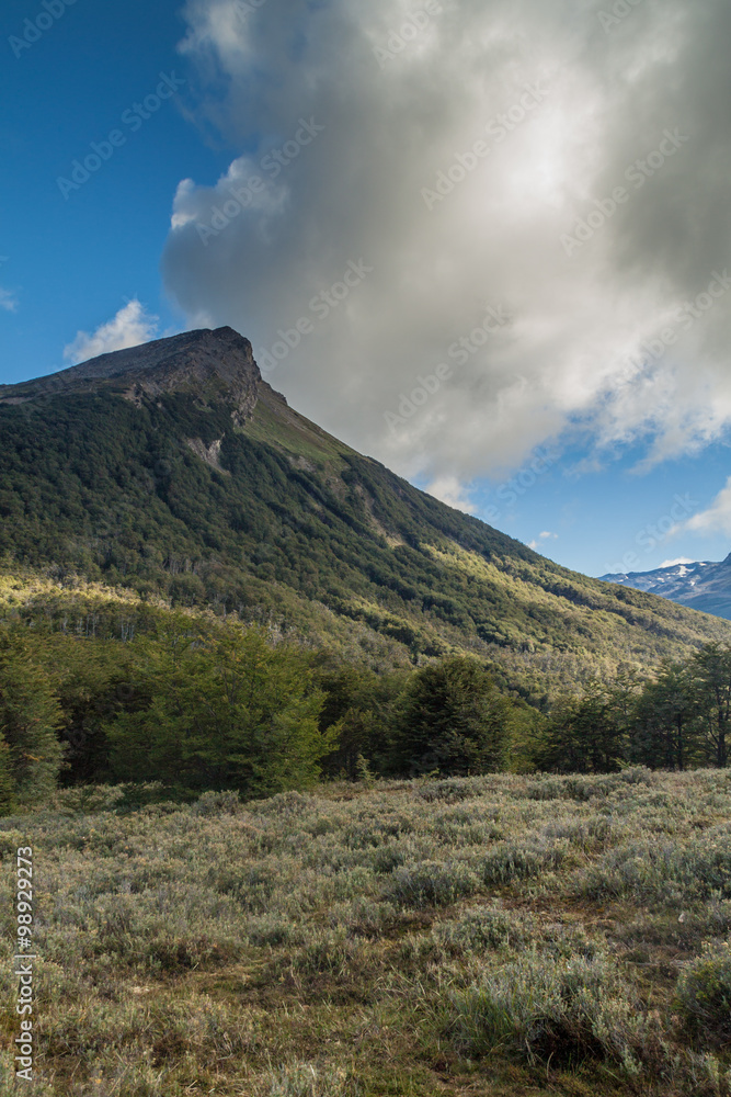National Park Tierra del Fuego, Argentina
