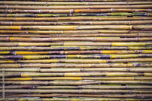 bamboo patterns for natural background.