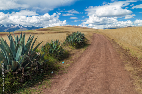 Road in cereal fields near Maras village, Sacred Valley, Peru