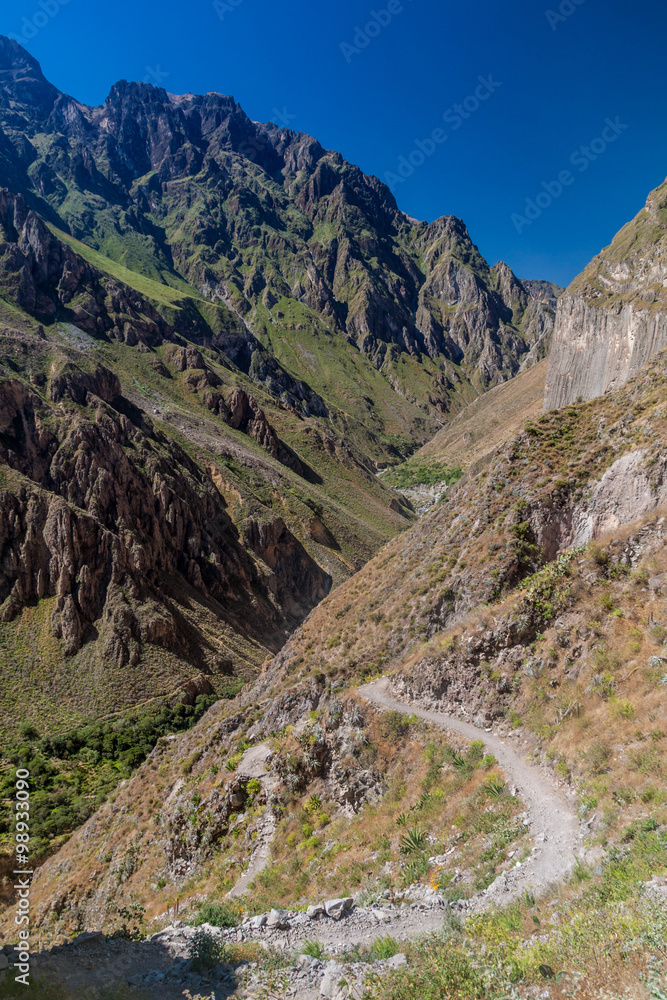 Steep path to Colca Canyon in Peru
