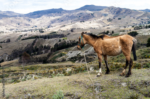 Horse at the rim of Quilotoa crater, Ecuador © Matyas Rehak