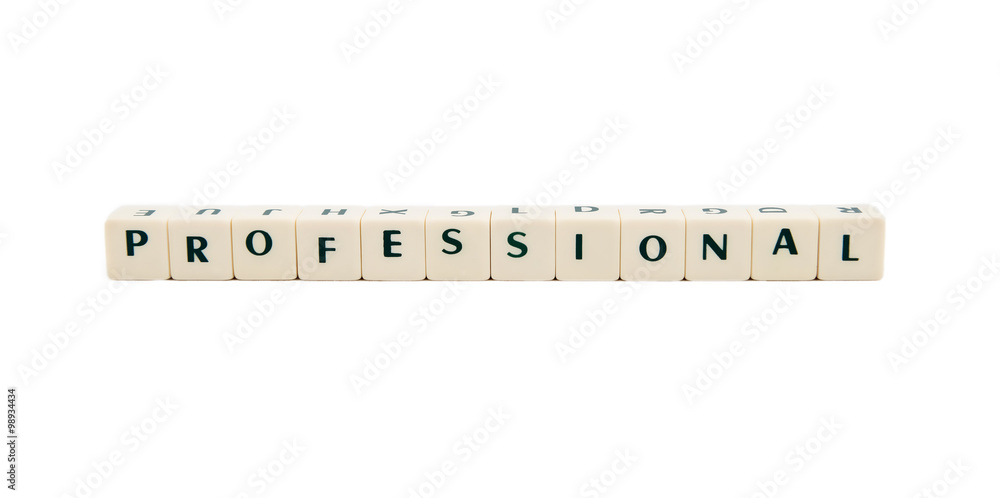 PROFESSIONAL white cube text on white background PROFESSIONAL white cube text on white background