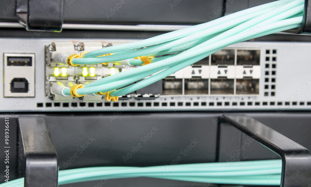 Fibre Optic Patch Leads in Networking Router Fibre Optic Patch Leads in Networking Router