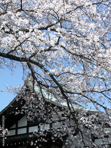 Wallpaper Mural 祖師堂と桜 Torontodigital.ca