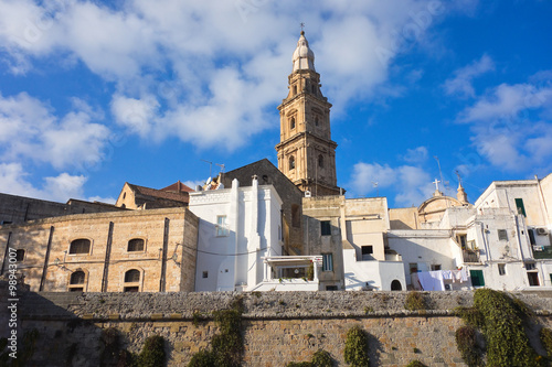 Panoramic view of Monopoli. Puglia. Italy. 