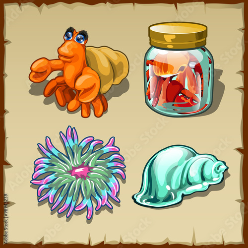 Funny marine inhabitants, set of four items
