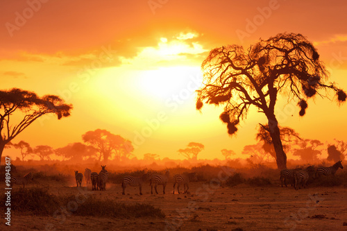 Fototapeta Afrykański zachód słońca
