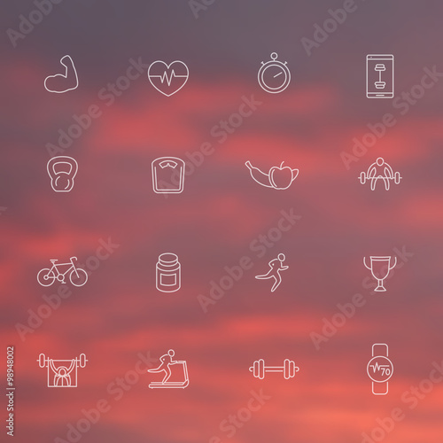 16 fitness, training, gym thin line icons, white transparent set, vector illustration