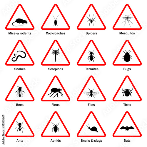 Pest and insect control icons set. 
