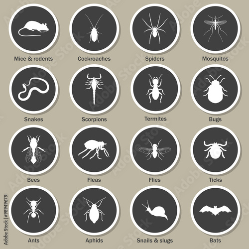 Pest and insect control icons set. 