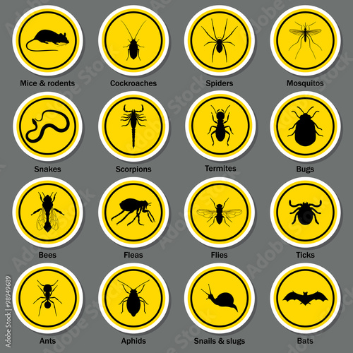 Pest and insect control icons set. 