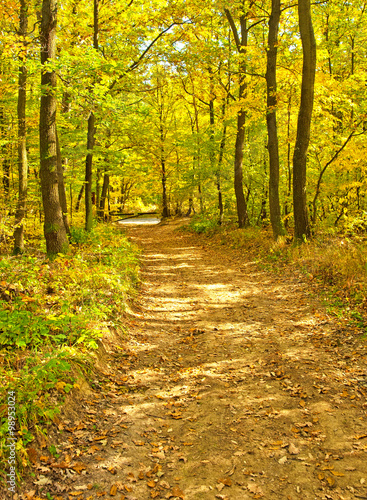 Nice autumnal scene