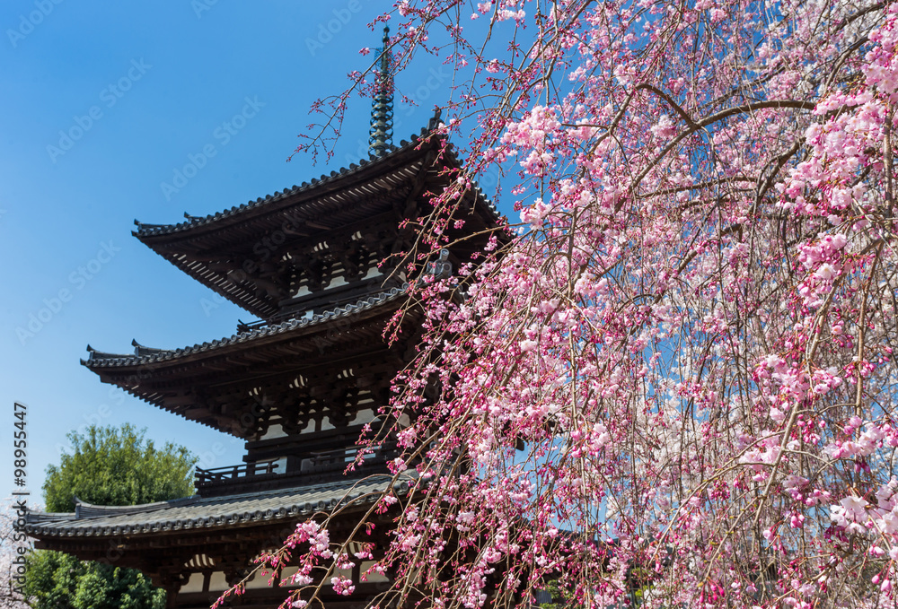 OSAKA IN JAPAN