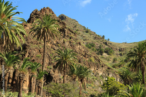 Hiking in Valle Gran Rey