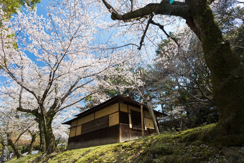 OSAKA IN JAPAN