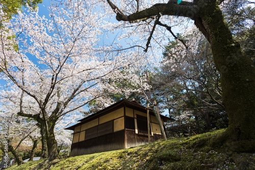 Obraz na płótnie OSAKA IN JAPAN
w salonie