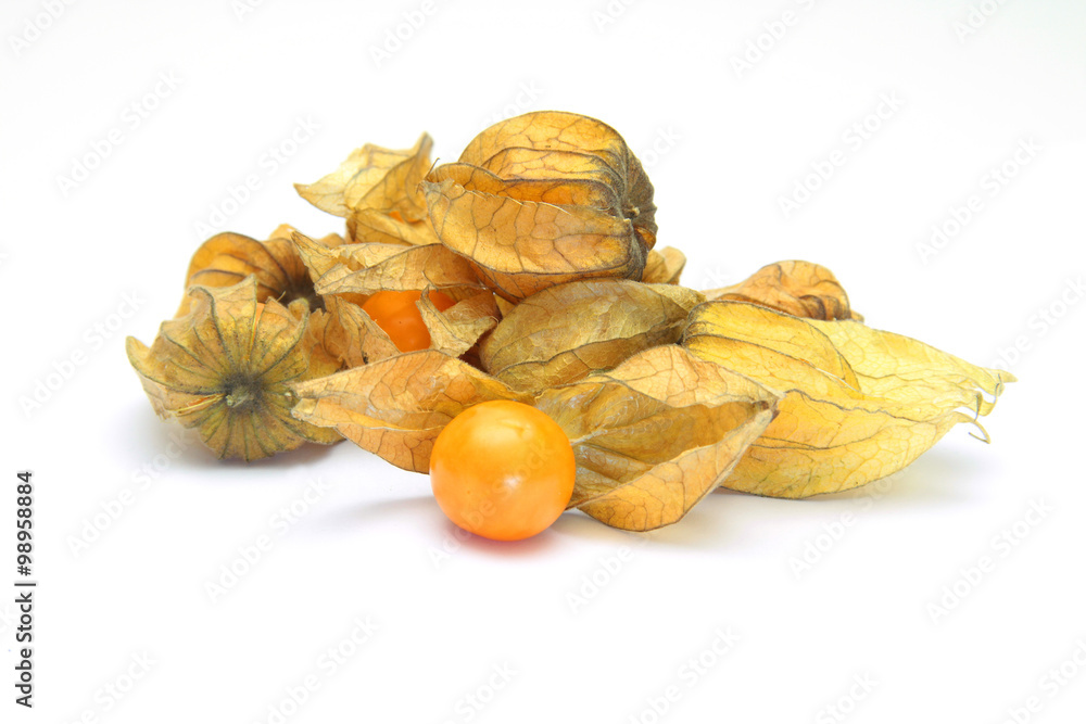 physalis 29122015 physalis 29122015