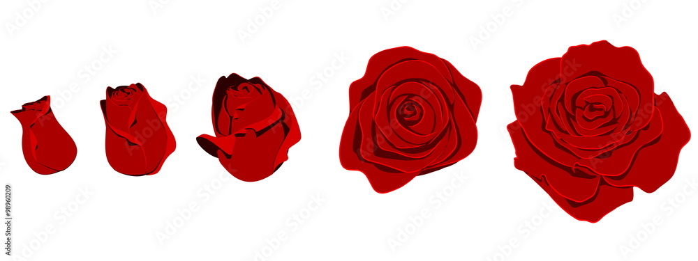 Fototapeta premium Rose shape, easy to manage color.there are 3 unique layers light,mid,shadow 