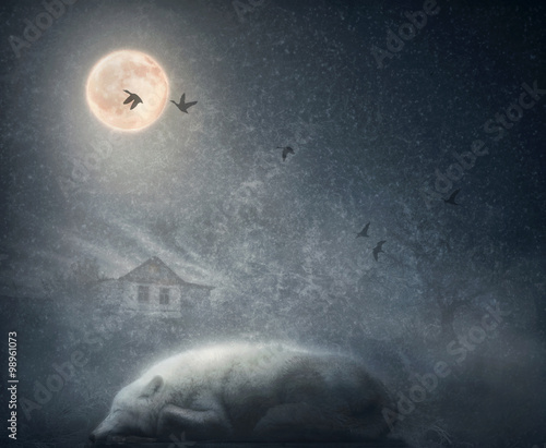 White arctic wolf sleeping under the moon. The concept in low key with vintage texture