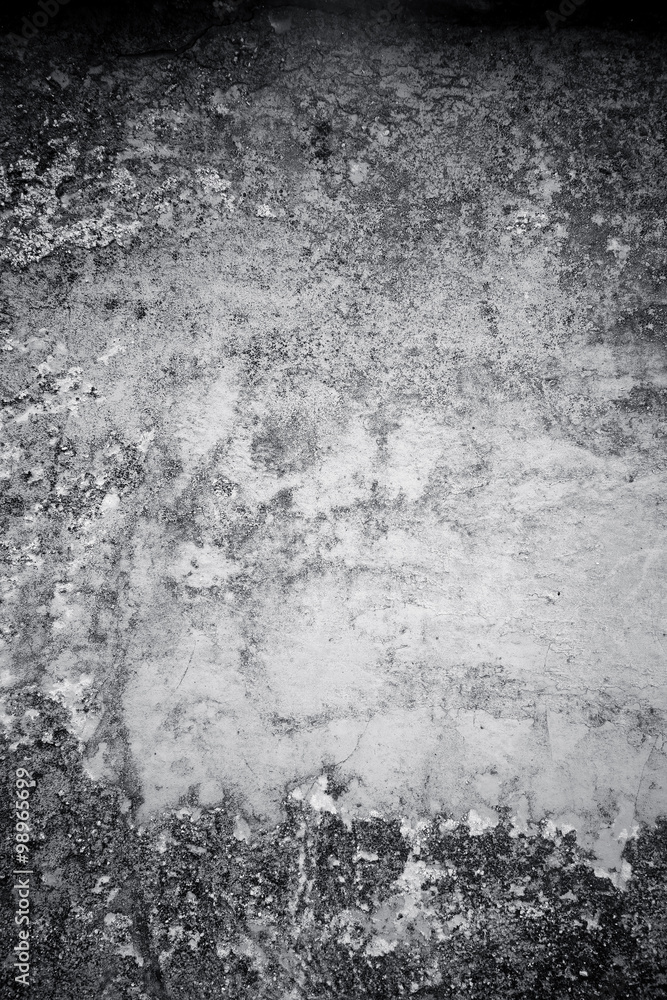 Obraz premium large grunge textures and backgrounds - perfect background with