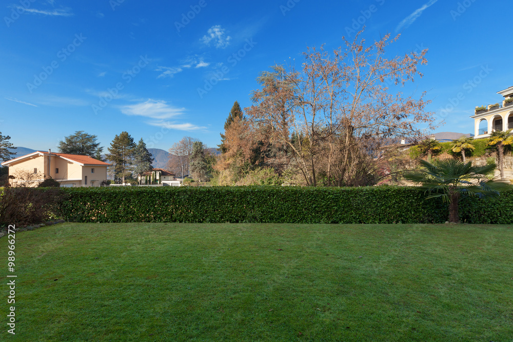 Fototapeta premium garden with hedge