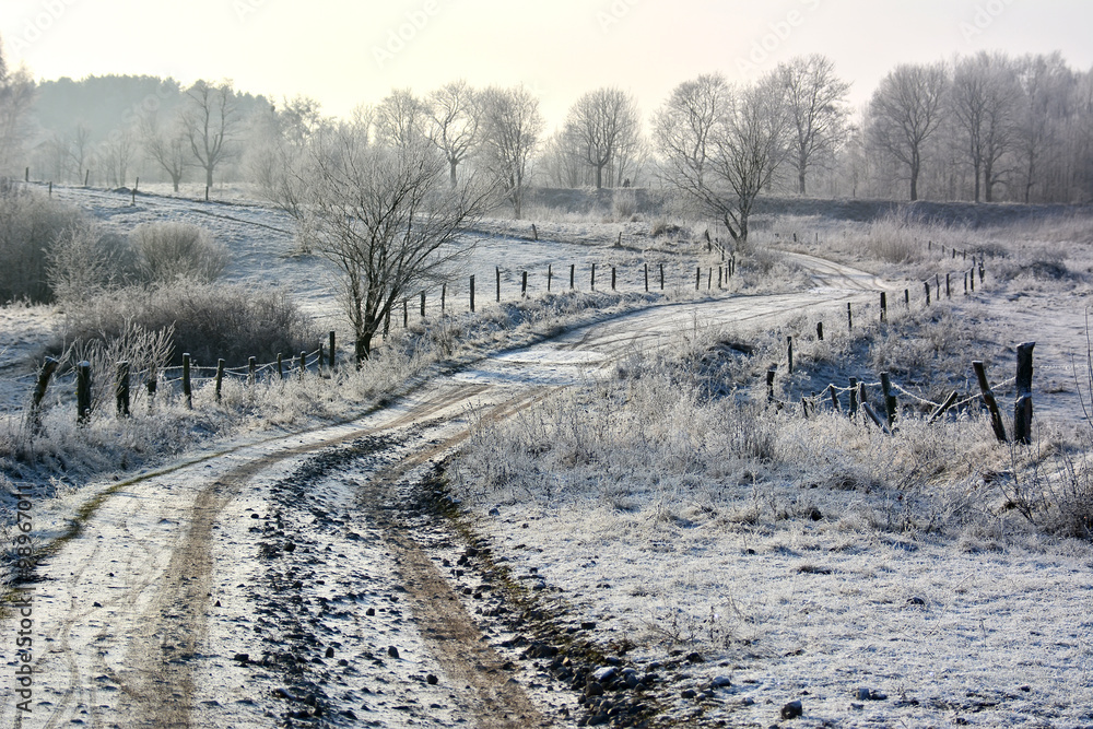 Obraz premium winter country landscape