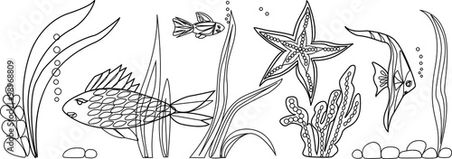  Inhabitants of sea: fish,star,seaweed.