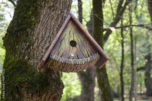 Feeders for birds in the winter photo