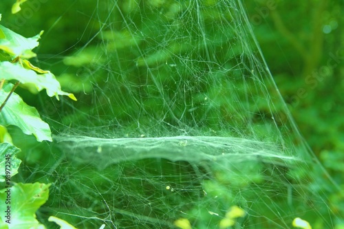 Web. Spider building with two floors. Dance floor.