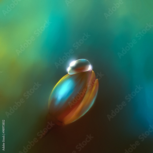 digital drawing flower bud with a drop © foldyart1980