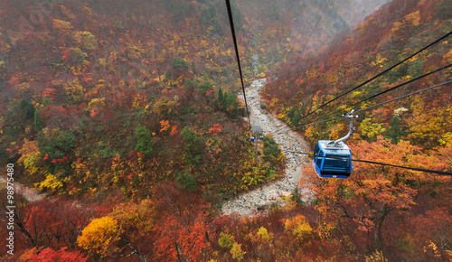 Autumn in cable car photo