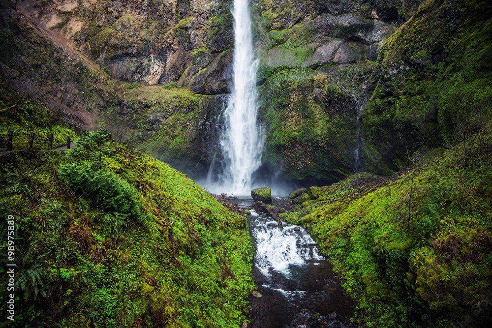 Mossy Oregon Waterfall