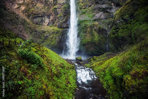 Mossy Oregon Waterfall