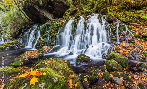 beautiful waterfall in forest  autumn landscape