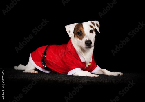 Jack déguisé en père Noël © Sandra de Soie