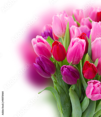 bouquet of pink and purple tulip flowers