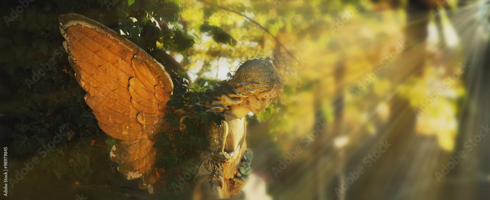 Fototapeta premium złoty anioł w słońcu (antyczny posąg)