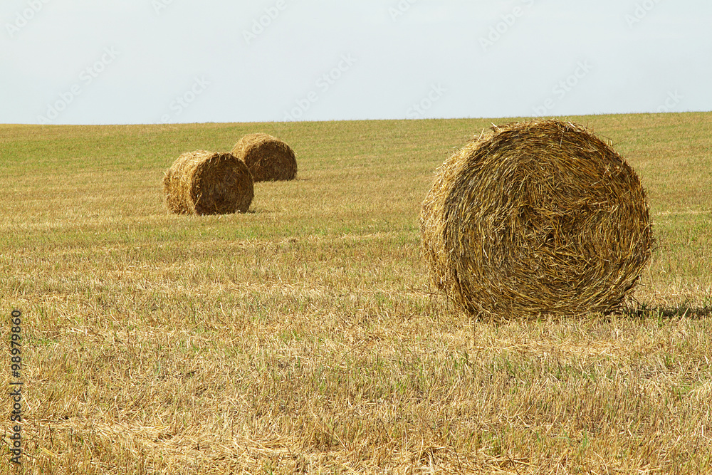 Haystacks Haystacks