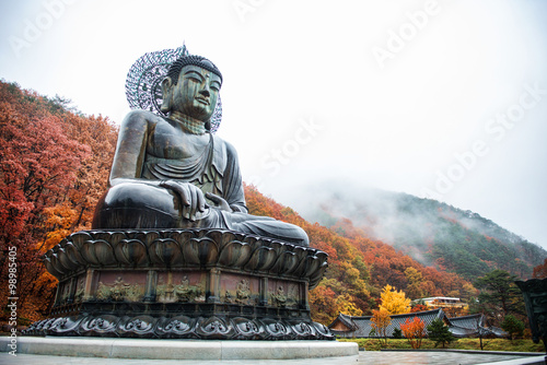 Big Buddha Monument of Sinheungsa Temple in Seoraksan National Park, Sokcho, South Korea photo