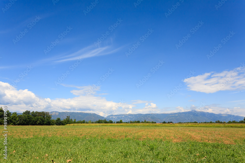 Agriculture, uncultivated field