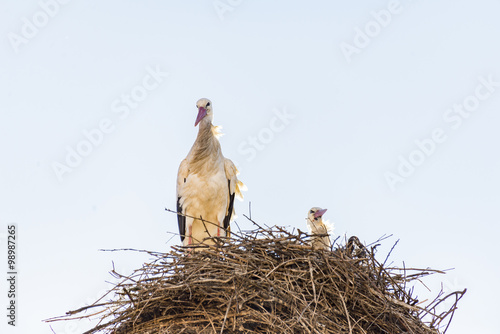 MARRAKESH, MOROCCO: city wall with Bab Agnaou and stork nests on