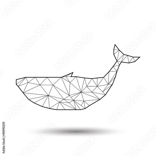 polygonal illustration of Whale.